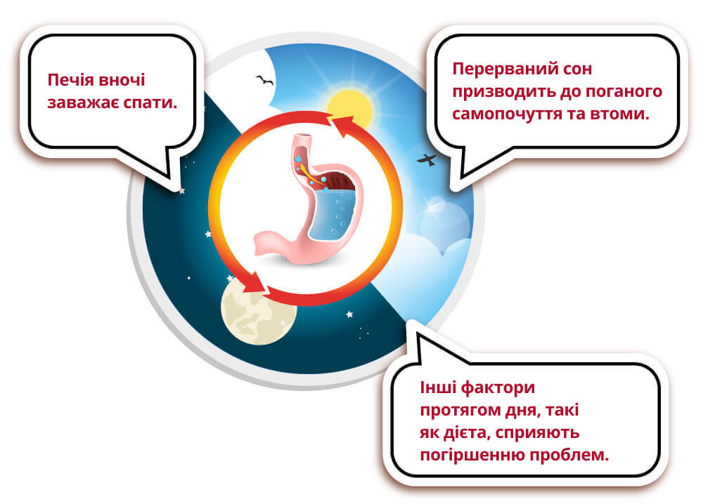 Денний та нічний цикл печії 